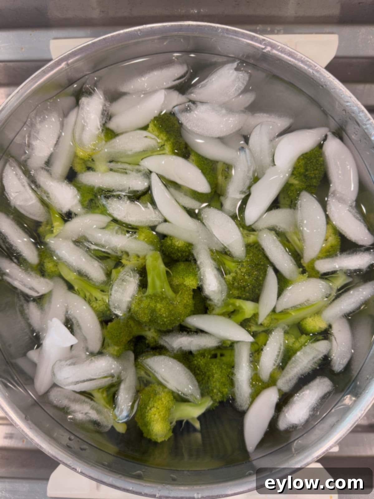 Bright green broccoli in an ice bath bowl of ice and cold water after steaming.