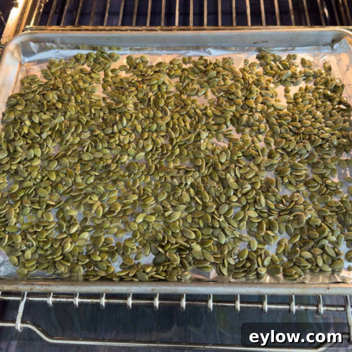 Green pepitas in the oven for roasting on a sheet tray.