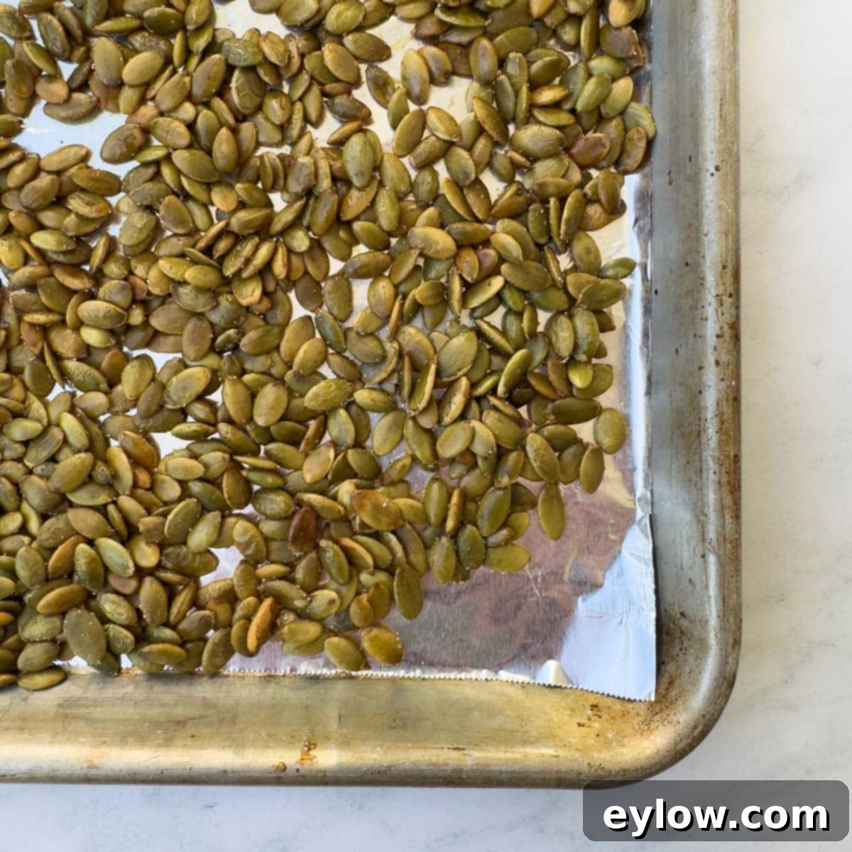 Close up of roasted pumpkin seeds on baking tray.