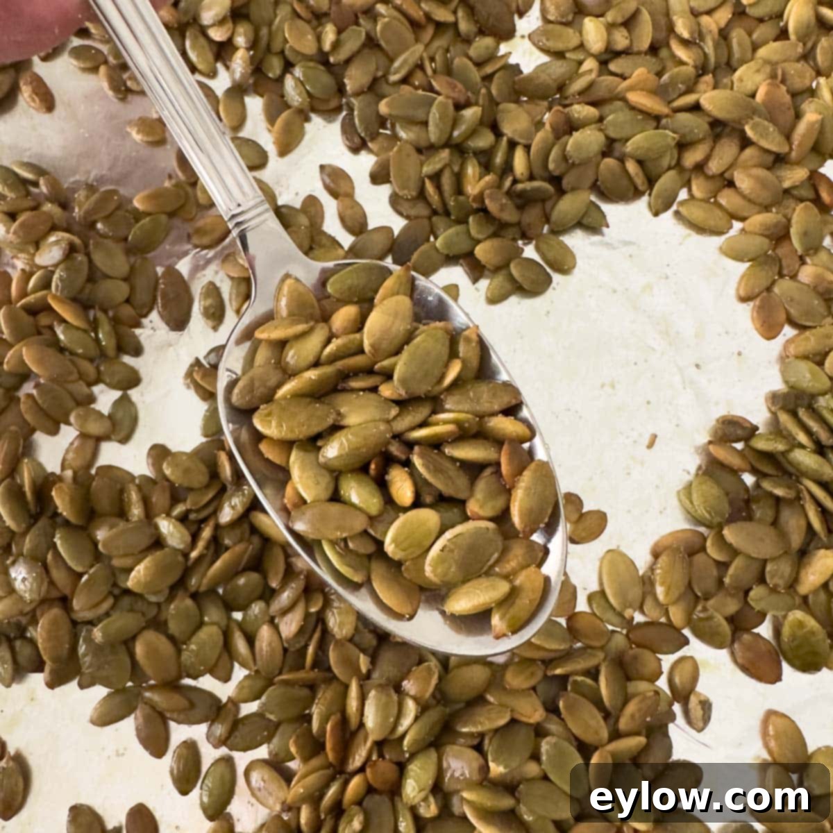 Roasted pepitas on a large spoon after baking.
