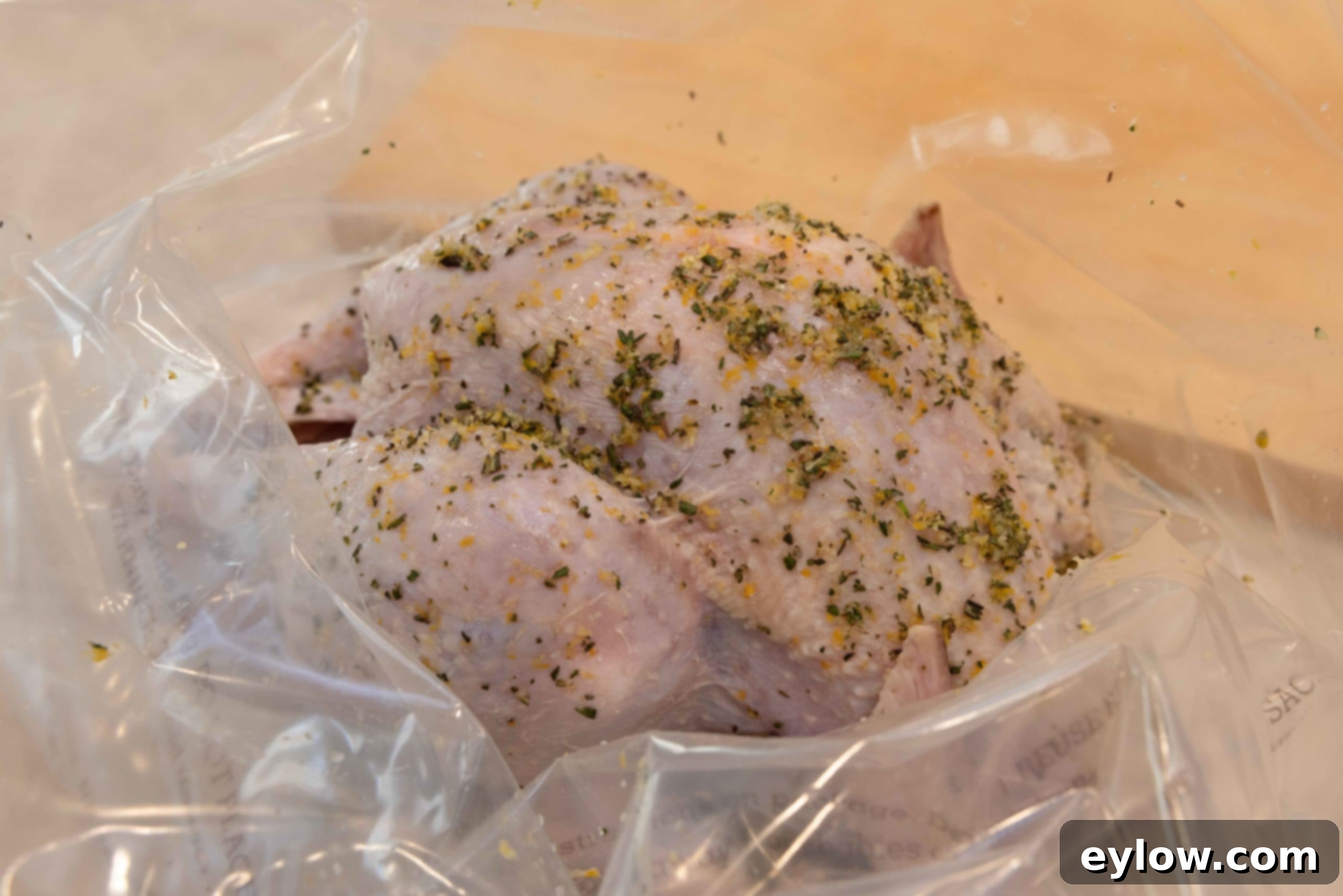 Raw turkey in a clear brining bag, fully coated with a vibrant dry brine mix of herbs, citrus, and salt, highlighting the flavor infusion process.