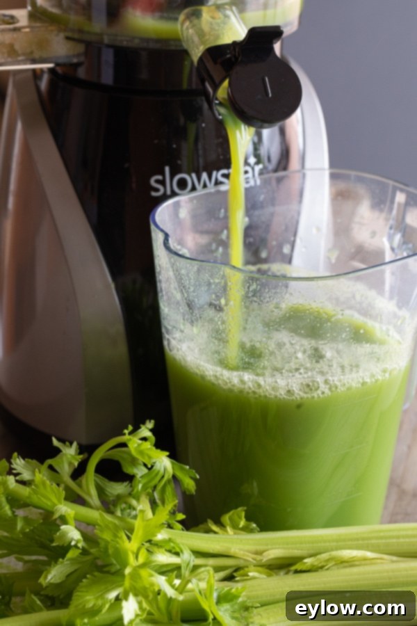 Cabbage Celery Green Elixir 3 Fresh organic celery stalks, crisp and green, ready for juicing, set against a natural backdrop.