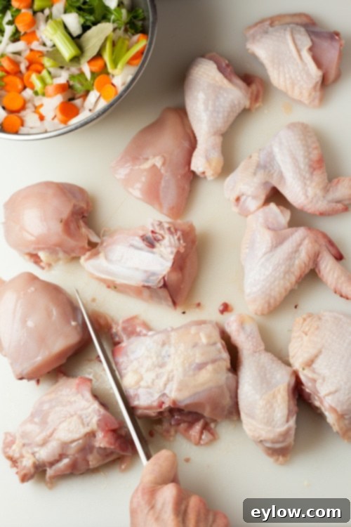 All of the pieces of a whole cut up chicken.