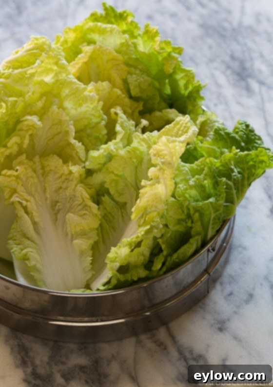 Ruffled Napa Cabbage leaves on a marble counter in a silver strainer. 