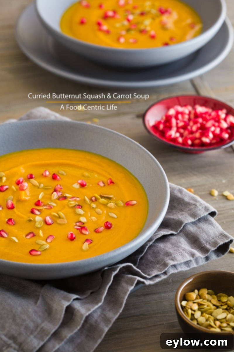 Golden Root Comfort Soup 2 Curried butternut squash soup