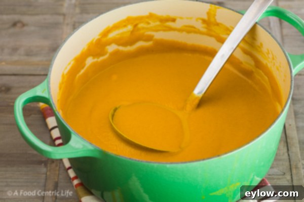 Golden Root Comfort Soup 3 Curried Butternut Carrot Soup | AFoodCentricLife.com