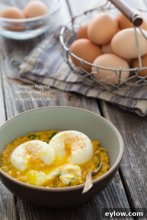 Golden Cheesy Polenta with Poached Eggs 2 Poached Eggs with Pumpkin Polenta in a blue bowl, garnished with fresh herbs.