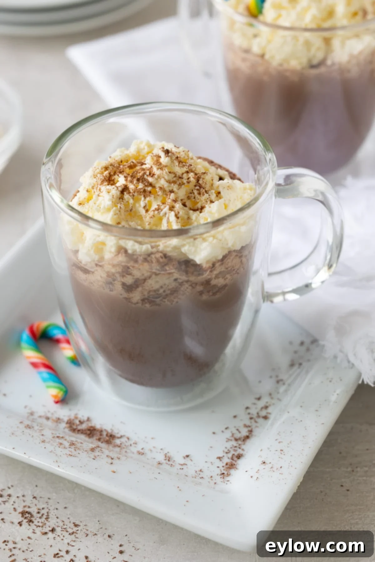 Easy Boozy Hot Chocolate 2 Hot chocolate in a glass mug with whipped cream.