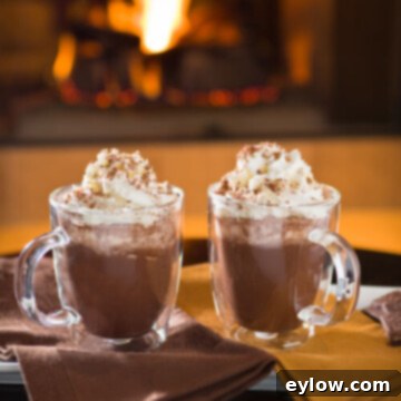 Easy Boozy Hot Chocolate 7 Hot chocolate in a glass mug with whipped cream.