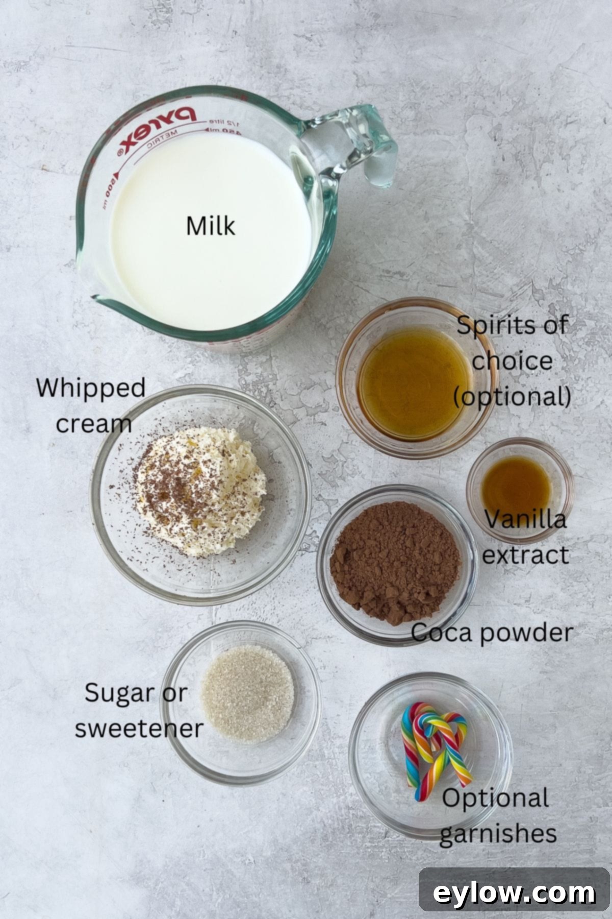 Easy Boozy Hot Chocolate 3 Spiked hot cocoa ingredients labeled