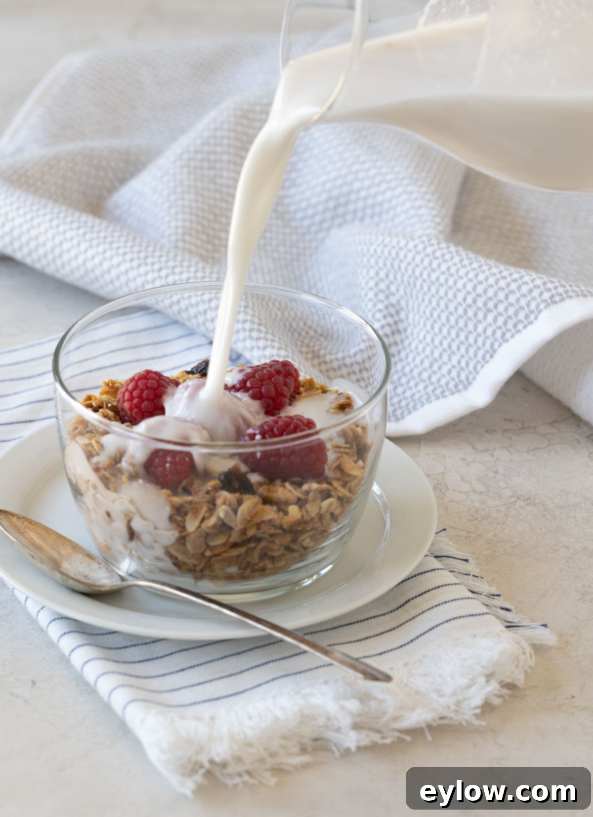 Homemade granola with berries and coconut milk pouring over it, illustrating a healthy breakfast.