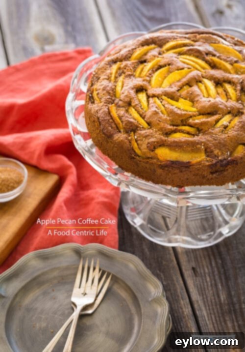 Delightful Gluten-Free Apple Cake 2 Apple Pecan Coffee Cake | AFoodCentricLife.com