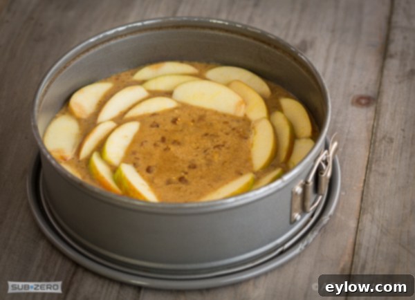 Delightful Gluten-Free Apple Cake 3 layering apples for a cake | AFoodCentricLife.com