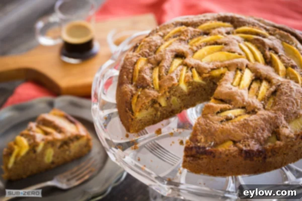 Delightful Gluten-Free Apple Cake 4 Apple Pecan Coffee Cake|AFoodCentricLife.com
