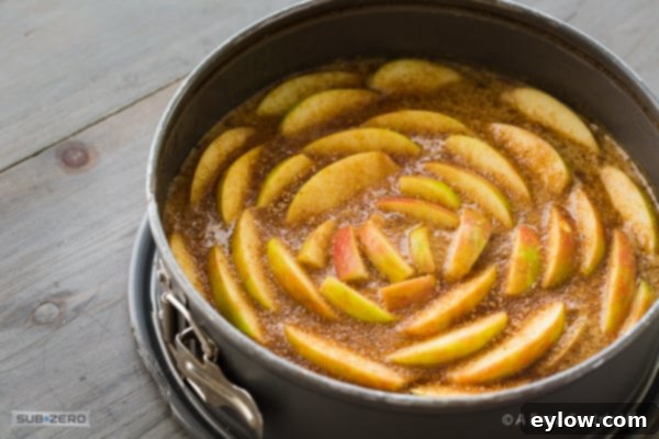 Delightful Gluten-Free Apple Cake 7 Coffee Cake in a pan | AFoodCentricLife.com