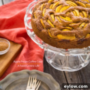 Delightful Gluten-Free Apple Cake 8 Apple Pecan Coffee Cake|AFoodCentricLife.com