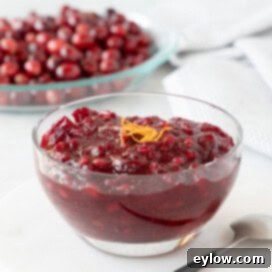 Artisan Whole Berry Cranberry Sauce 14 Deep red whole berry cranberry sauce in a glass bowl, featuring fresh pomegranates and orange zest for a healthy holiday side.