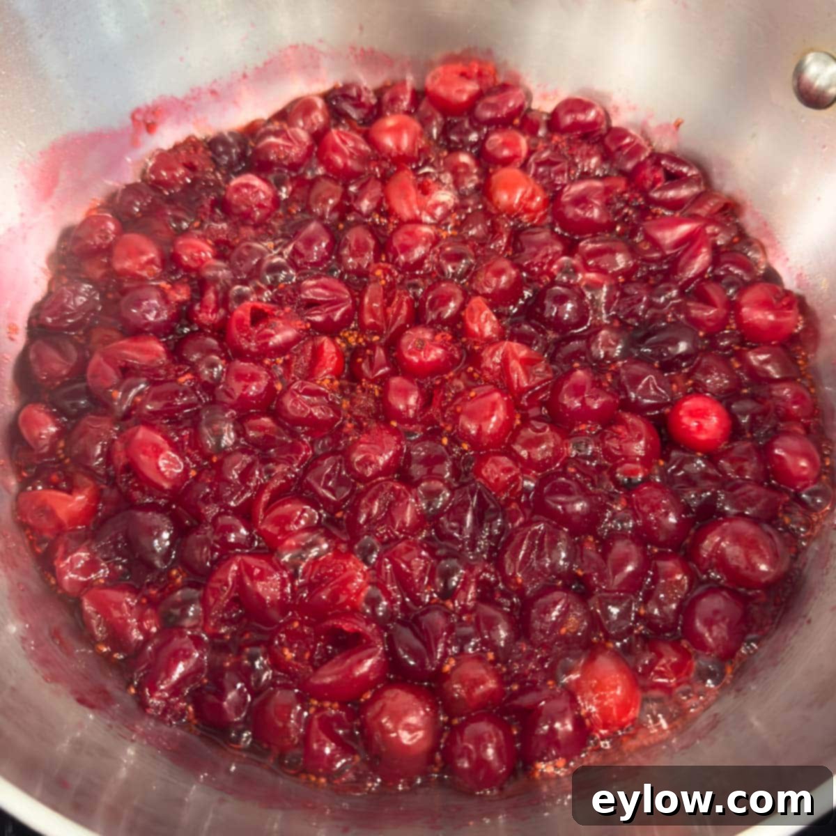 Artisan Whole Berry Cranberry Sauce 6 Whole berry cranberries cooking in a stainless pan, beginning to burst and thicken for homemade sauce.