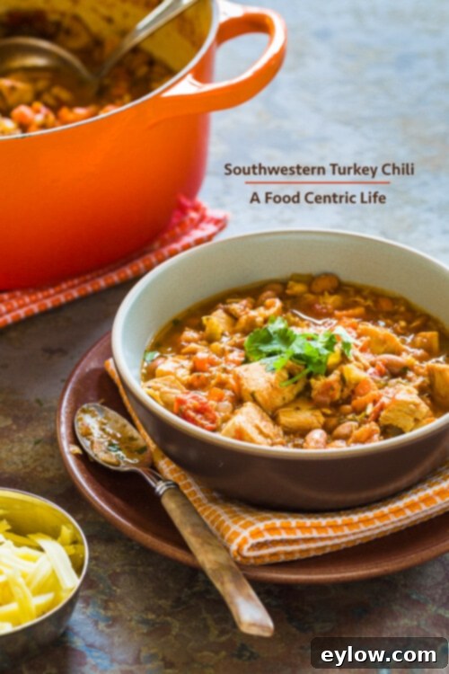 Hearty Southwestern Turkey Chili 2 A steaming bowl of healthy Southwestern Turkey Chili, garnished with fresh cilantro and cheese.