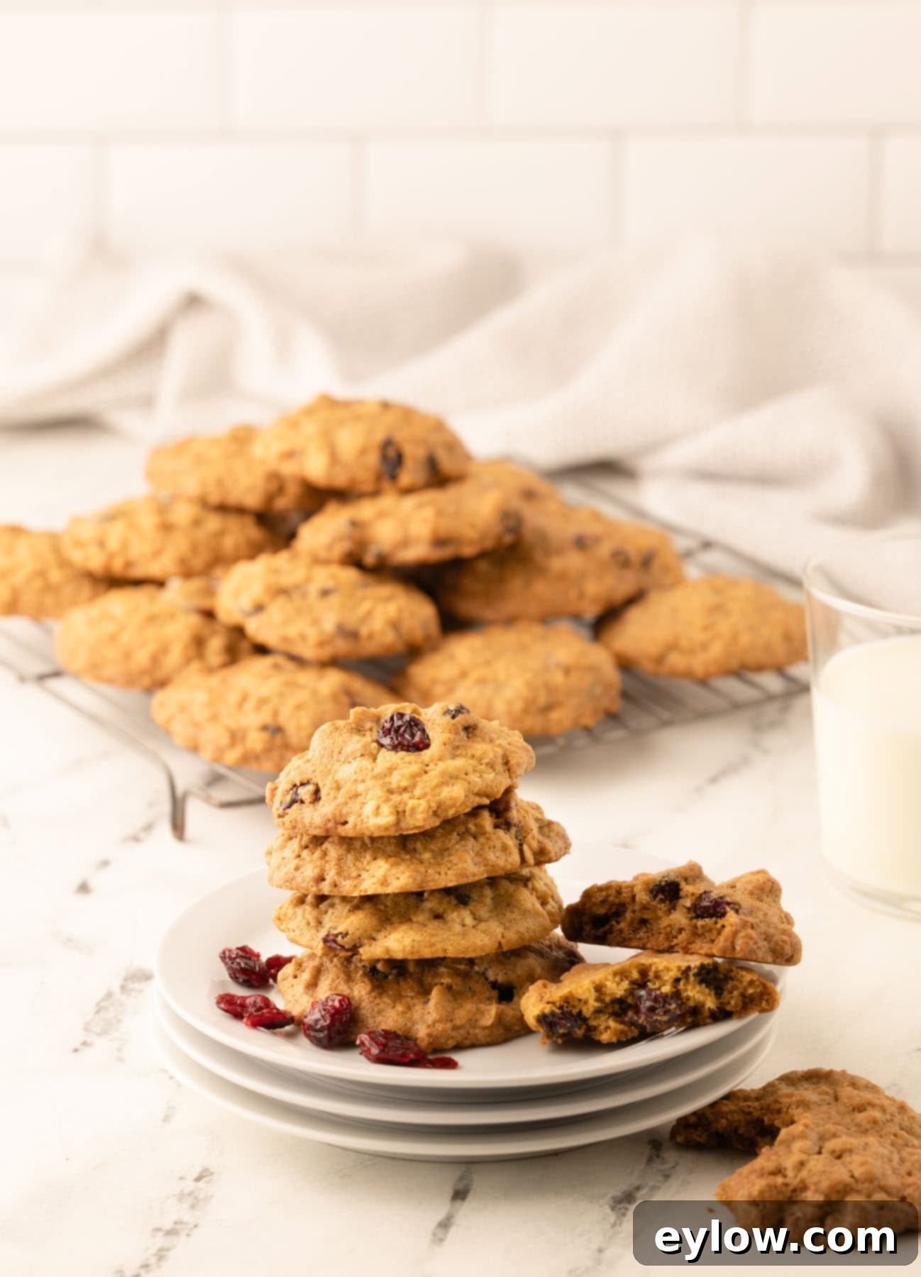 Homemade Cranberry Oatmeal Cookie Bliss 2 A pile of cranberry oatmeal cookies on a plate with cooling cookies in the back.