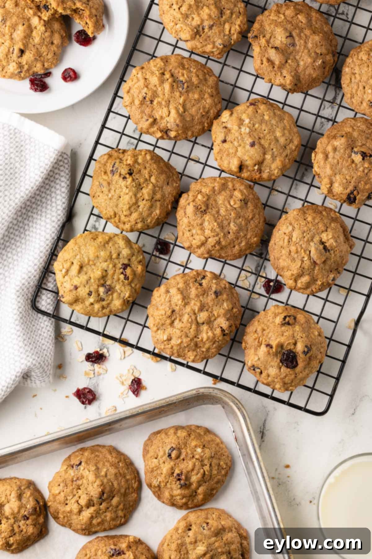 Homemade Cranberry Oatmeal Cookie Bliss 12 Golden oatmeal cookies cooling on a wire rack with more cookies on the baking sheet.