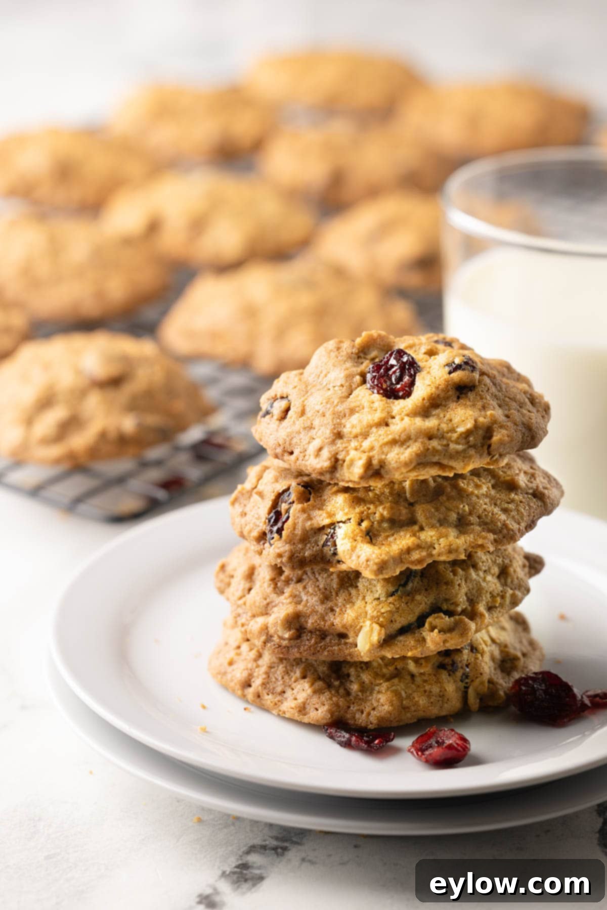 Homemade Cranberry Oatmeal Cookie Bliss 13 A stack of golden cranberry oatmeal cookies on a white plate with a glass of milk.