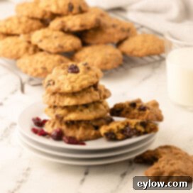 Homemade Cranberry Oatmeal Cookie Bliss 14 A stack of crunchy cookies on a counter with a glass of milk and cookies cooling behind.