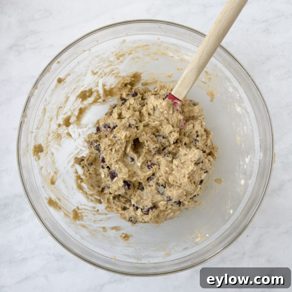 Homemade Cranberry Oatmeal Cookie Bliss 10 Finished cranberry oatmeal cookie dough ready for scooping and baking.