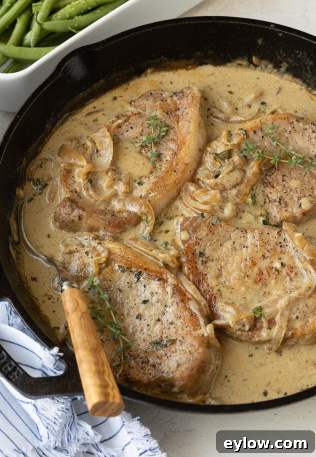 Creamy Sour Cream Pork Chops 2 Perfectly cooked sour cream pork chops in a rustic cast iron skillet, ready to serve.