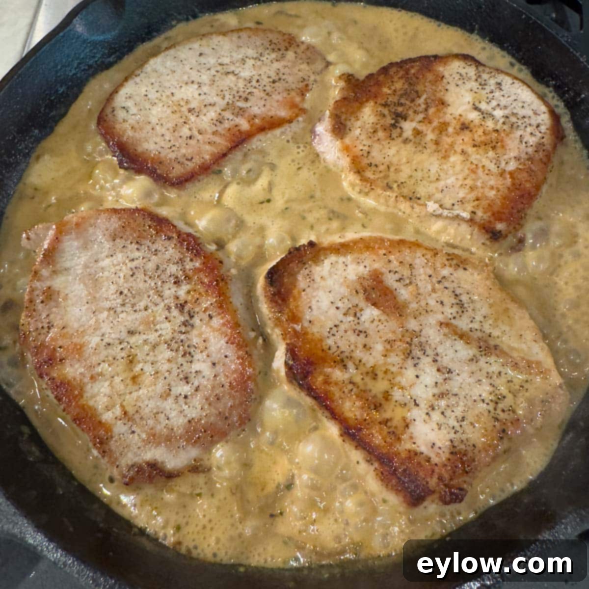 Creamy Sour Cream Pork Chops 12 Seared boneless pork chops nestled back into the creamy onion sauce in a black skillet.