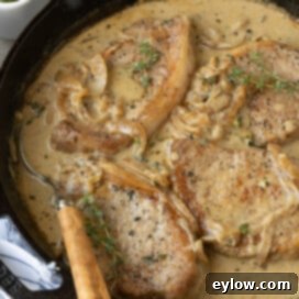 Creamy Sour Cream Pork Chops 15 Sour crem pork chops in cast iron skillet.