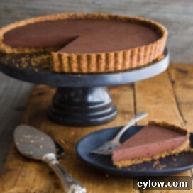 Chocolate Tart With Hazelnut Crust