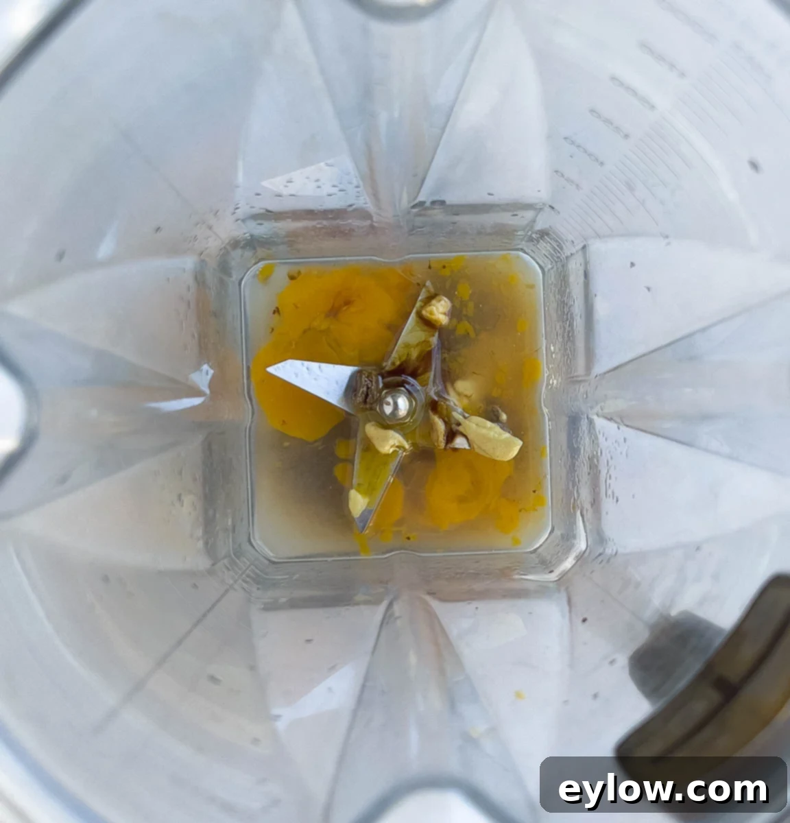 Caesar Dressing No Anchovies Needed 5 Various dressing ingredients (lemon juice, egg yolk, mustard, garlic, Worcestershire, balsamic) placed in the base of a blender.