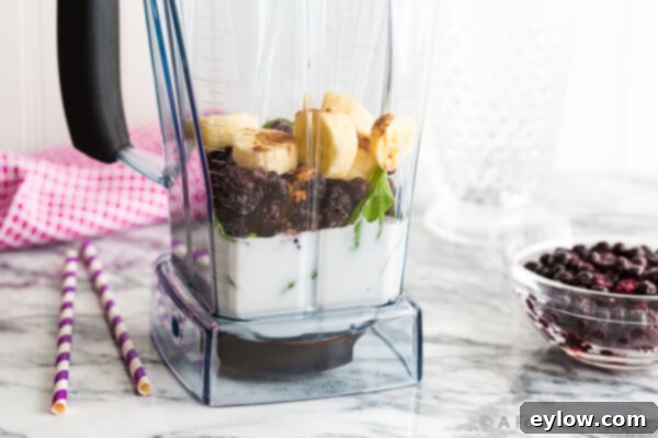 Ingredients for a chocolate blueberry smoothie in a blender container, showing milk, berries, spinach, cocoa powder, and banana, all ready for blending.