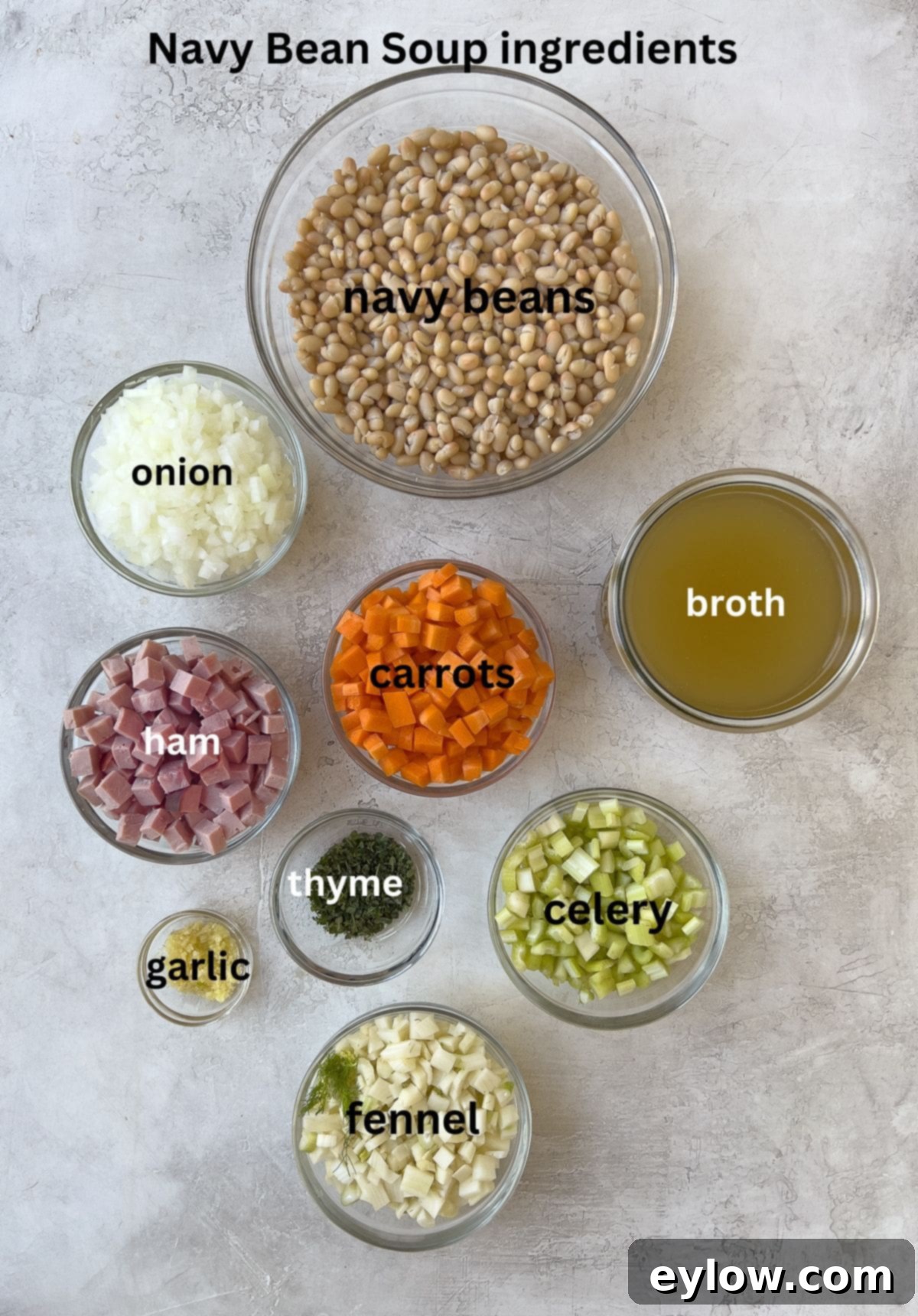 Arrangement of fresh navy bean soup ingredients including canned beans, ham steak, onions, carrots, celery, fennel bulb, garlic, thyme, and bay leaf.