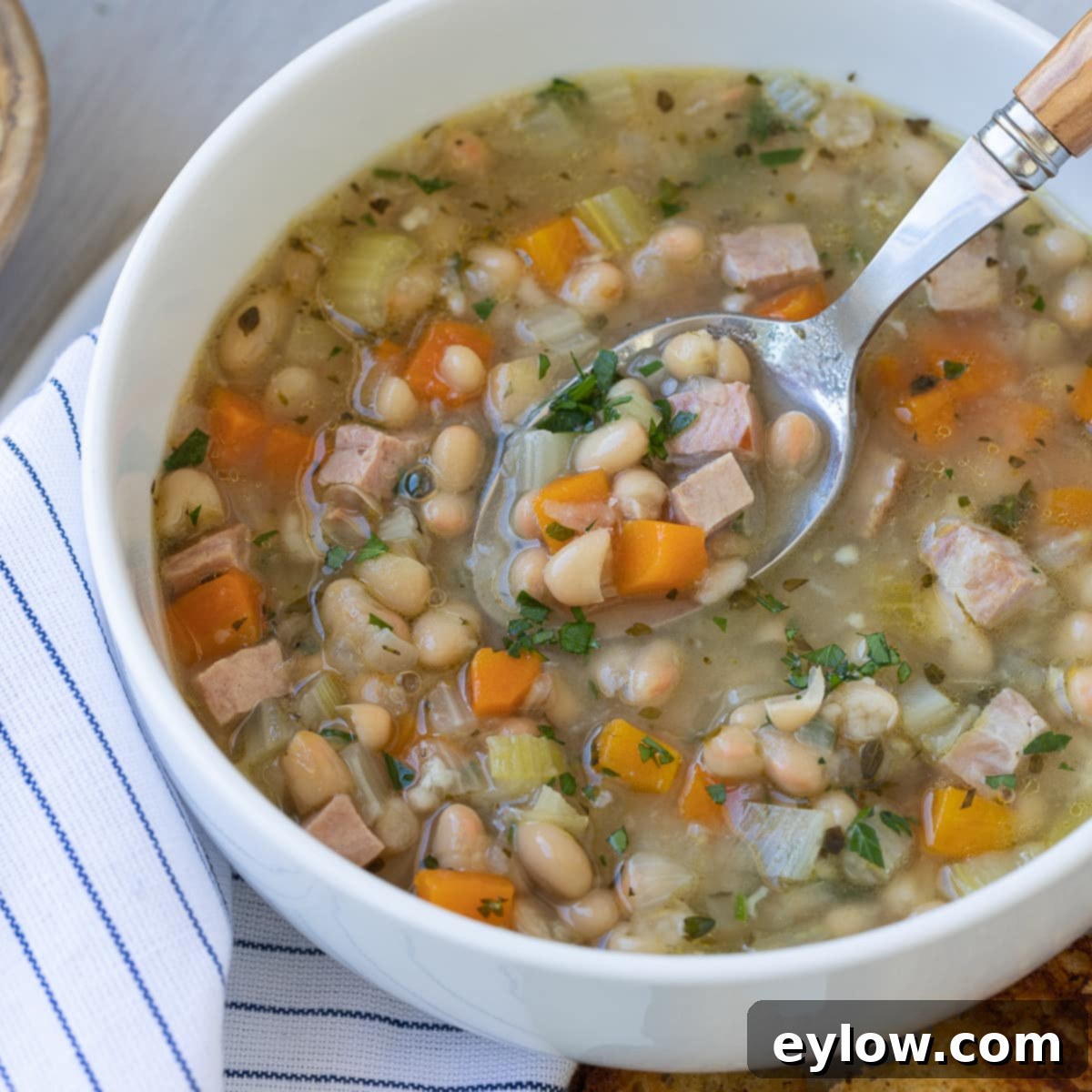 Close-up of a bowl of navy bean soup with ham and vegetables, ready to eat.