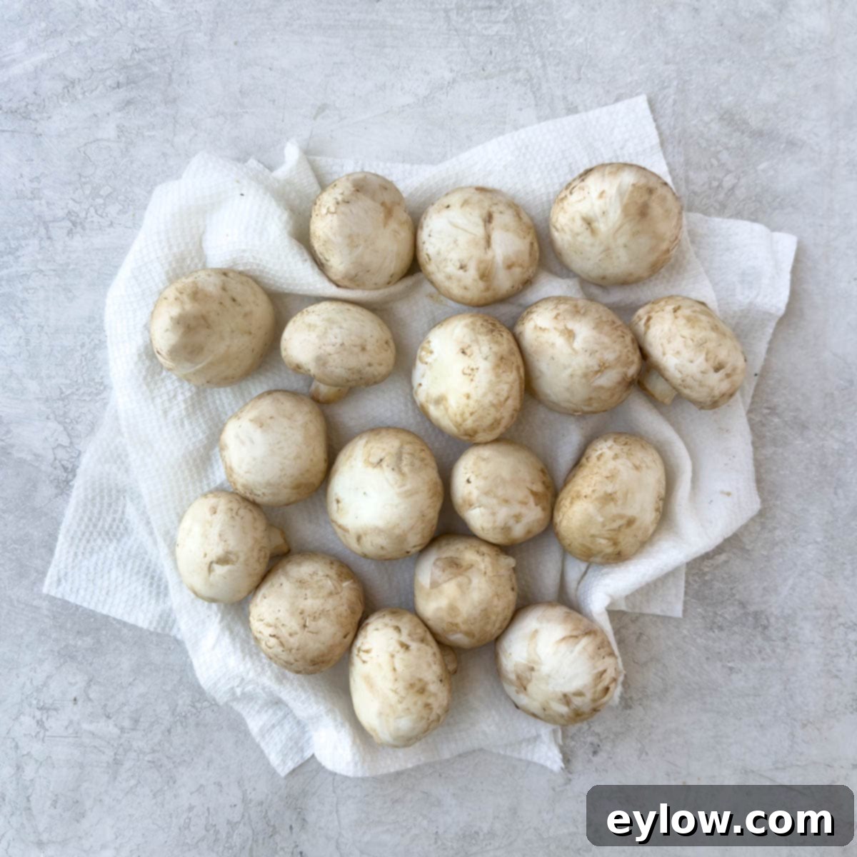 A pile of cleaned white mushrooms on paper towels.