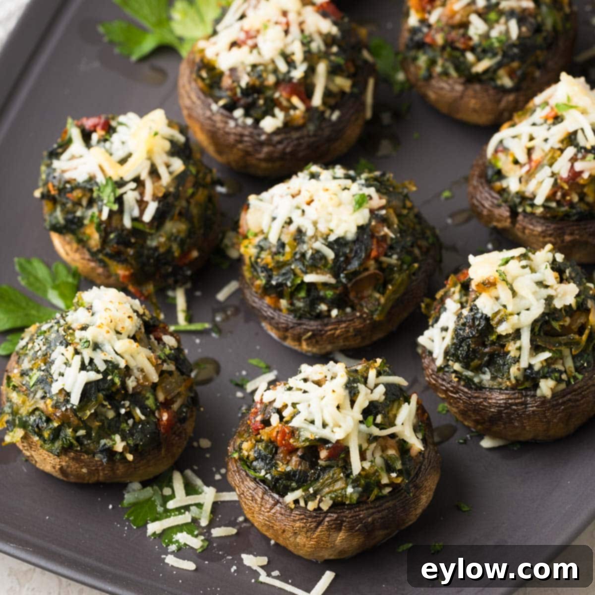 A beautiful close-up of spinach stuffed mushrooms on a grey serving plate, with melted Parmesan and fresh parsley garnish.