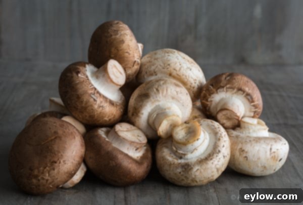 A collection of fresh, whole mushrooms, ready for preparation.