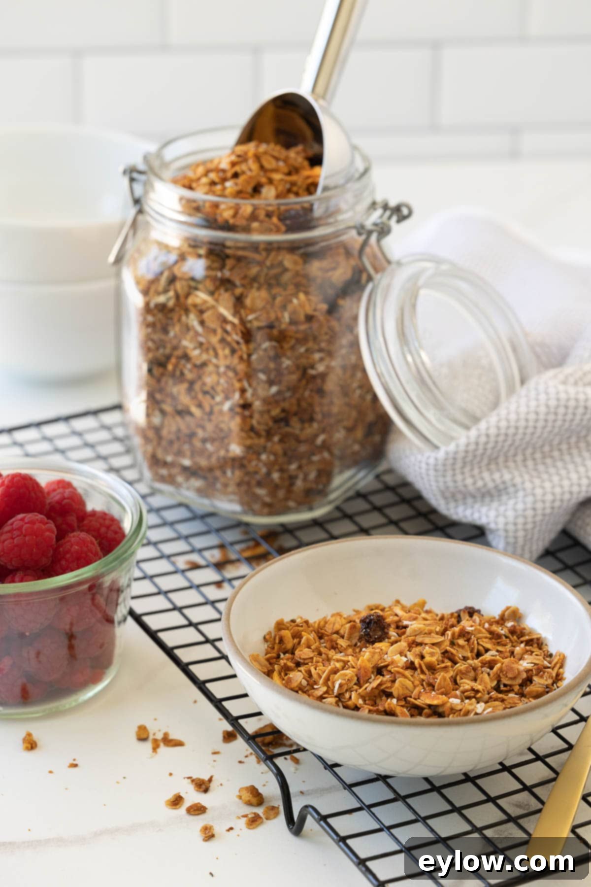 A charming breakfast setting featuring a glass jar of homemade granola, serving bowls, and fresh raspberries, highlighting its appeal.