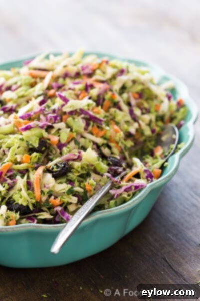 Creamy Apple Cider Crunch Slaw 5 A beautifully presented bowl of colorful broccoli slaw, garnished with fresh herbs and dried cranberries, highlighting its vibrant appeal.