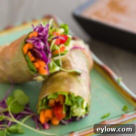 Vibrant Vegetable Spring Rolls with Creamy Peanut Sauce 6 rainbow spring rolls