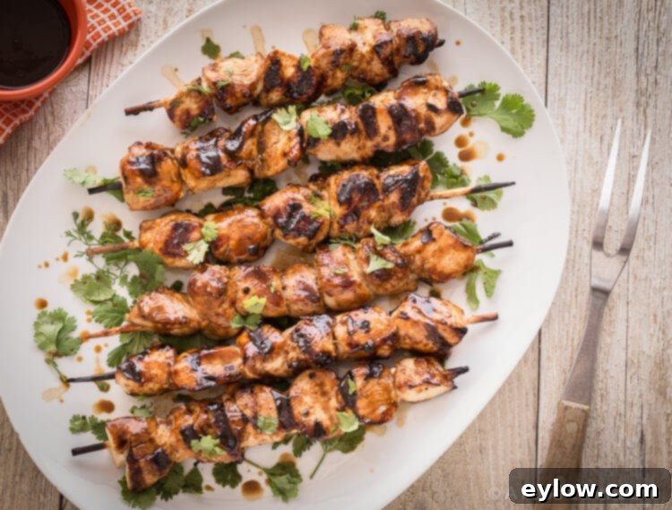 Hoisin Chicken Kabobs|AFoodCentricLife.com