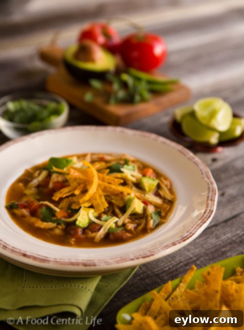 Crispy Baked Tortilla Chips 3 Chicken Tortilla Soup garnished with homemade baked tortilla strips