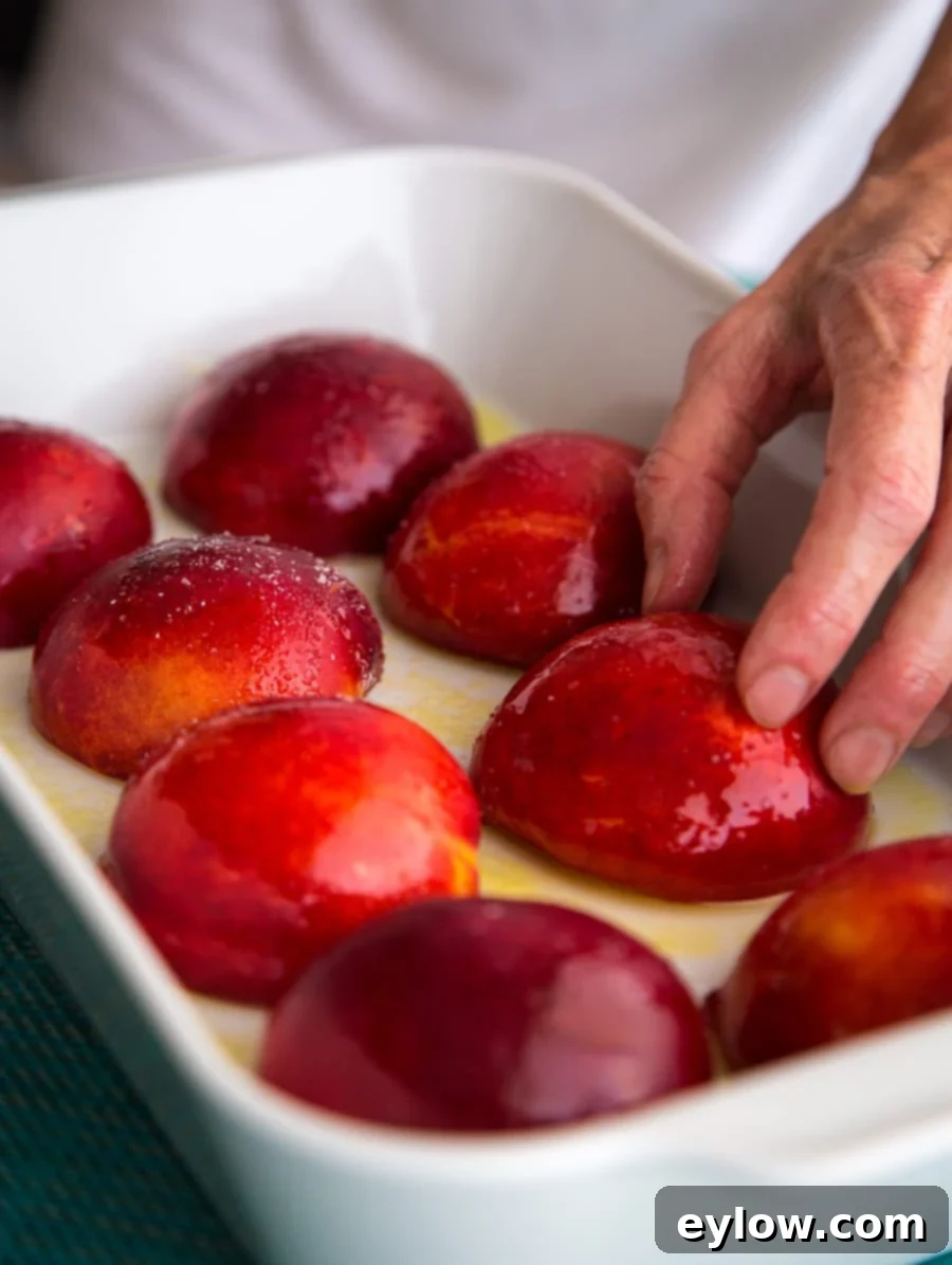 Blushing Nectarine Goat Cheese Crostini 4 Deep rich red nectarines halved in a baking dish for roasting.