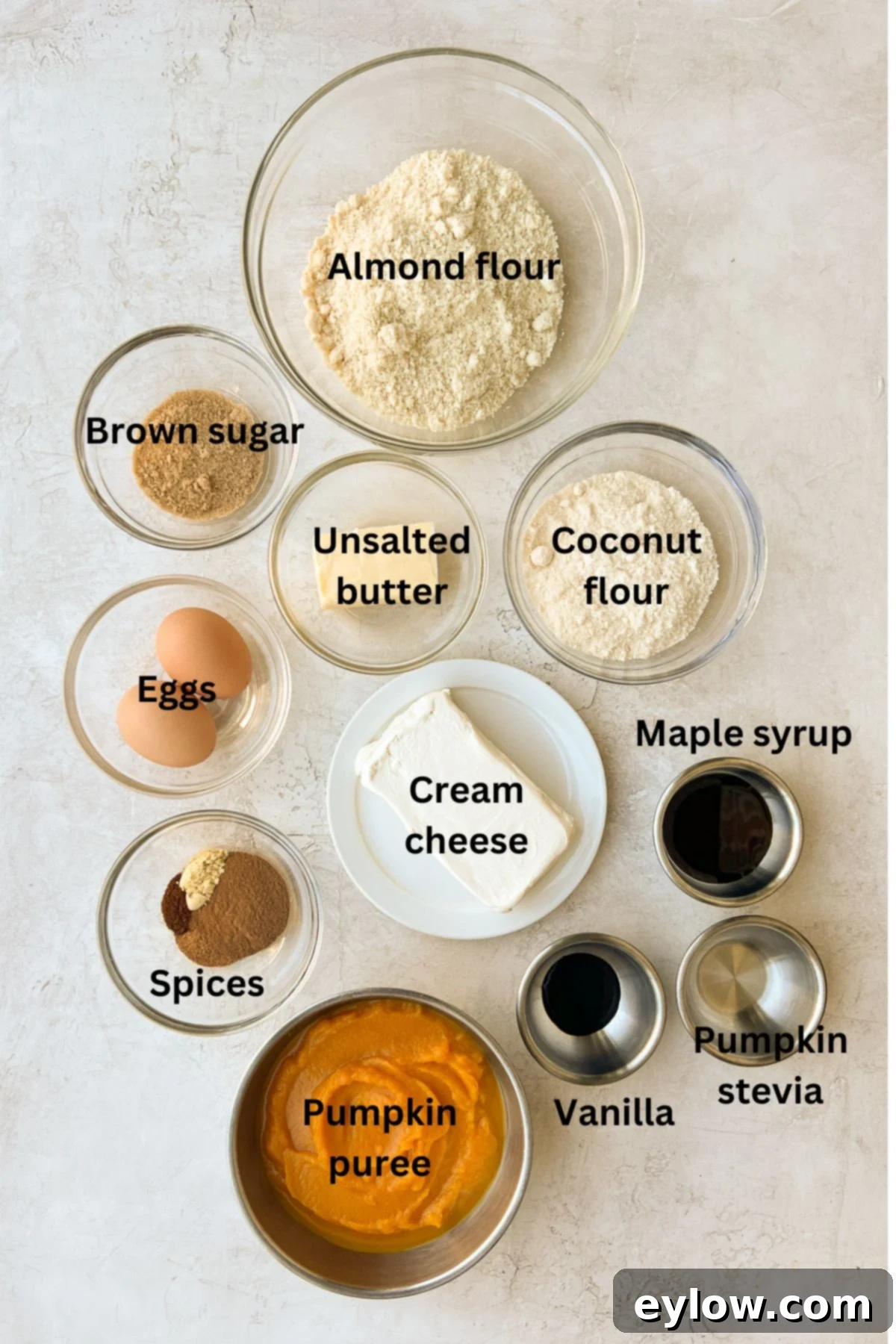 All the raw ingredients for making a pumpkin tart laid out on a kitchen counter, labeled for easy identification.