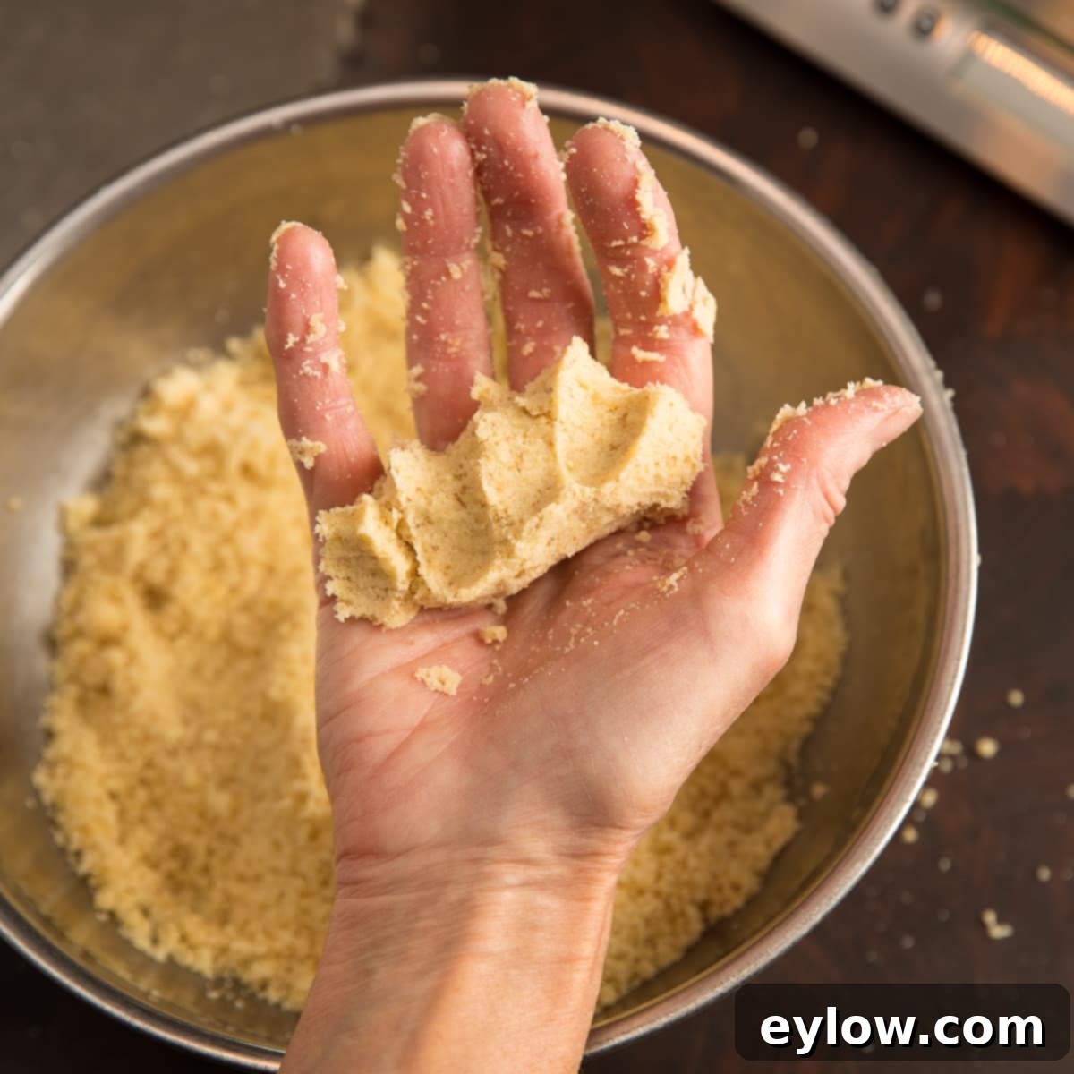 The tart crust dough is squeezed in a hand to test its moisture and consistency before pressing into the pan.