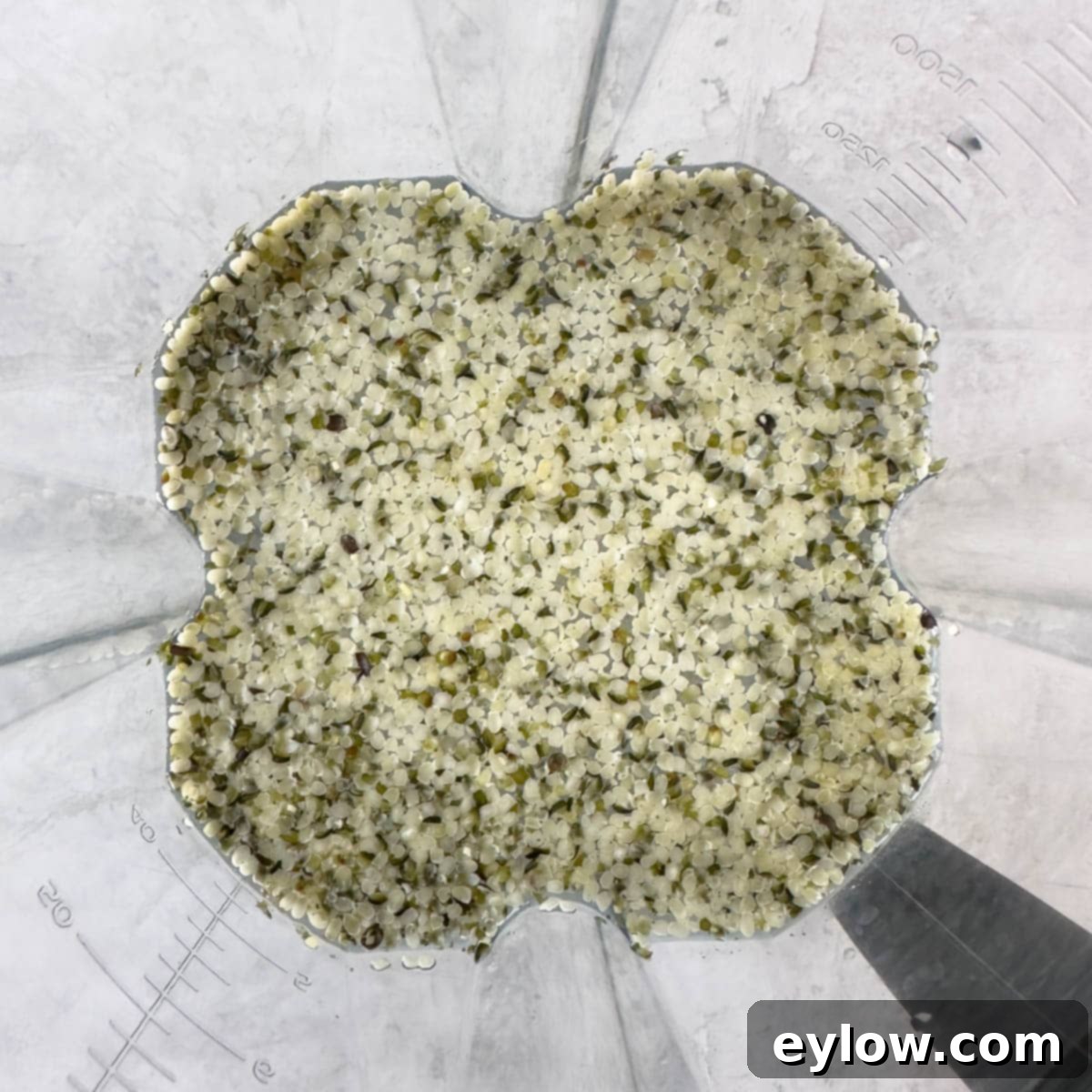 Creamy Homemade Hemp Mylk 5 Hemp seeds in a blender with water.