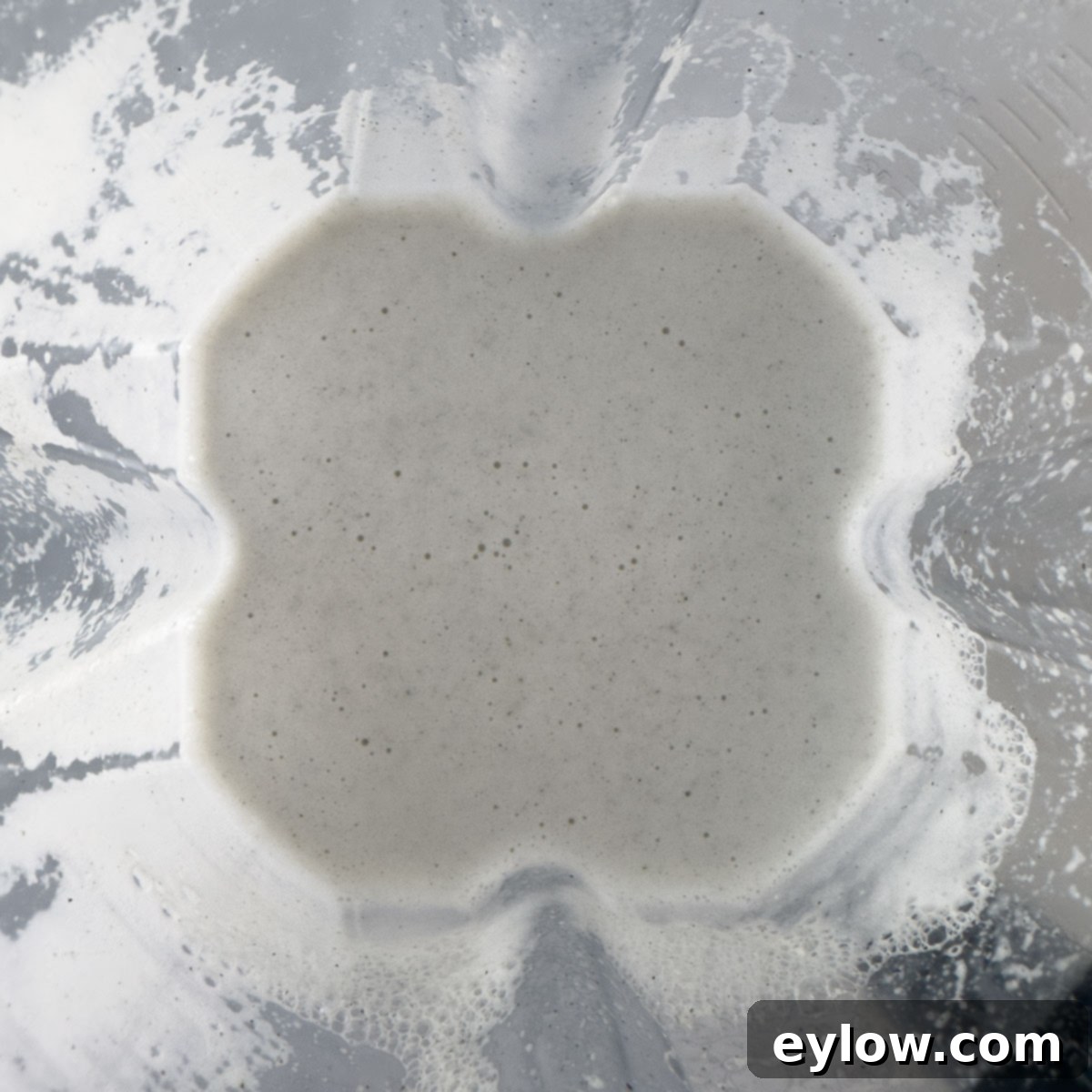 Creamy Homemade Hemp Mylk 6 Hemp seeds and water blended into milk in a blender.