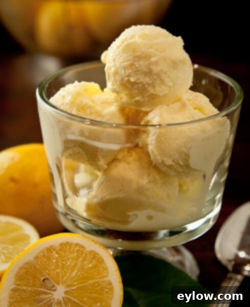 Scoops of homemade lemon custard ice cream garnished with fresh mint and lemon zest, showcasing its creamy texture.